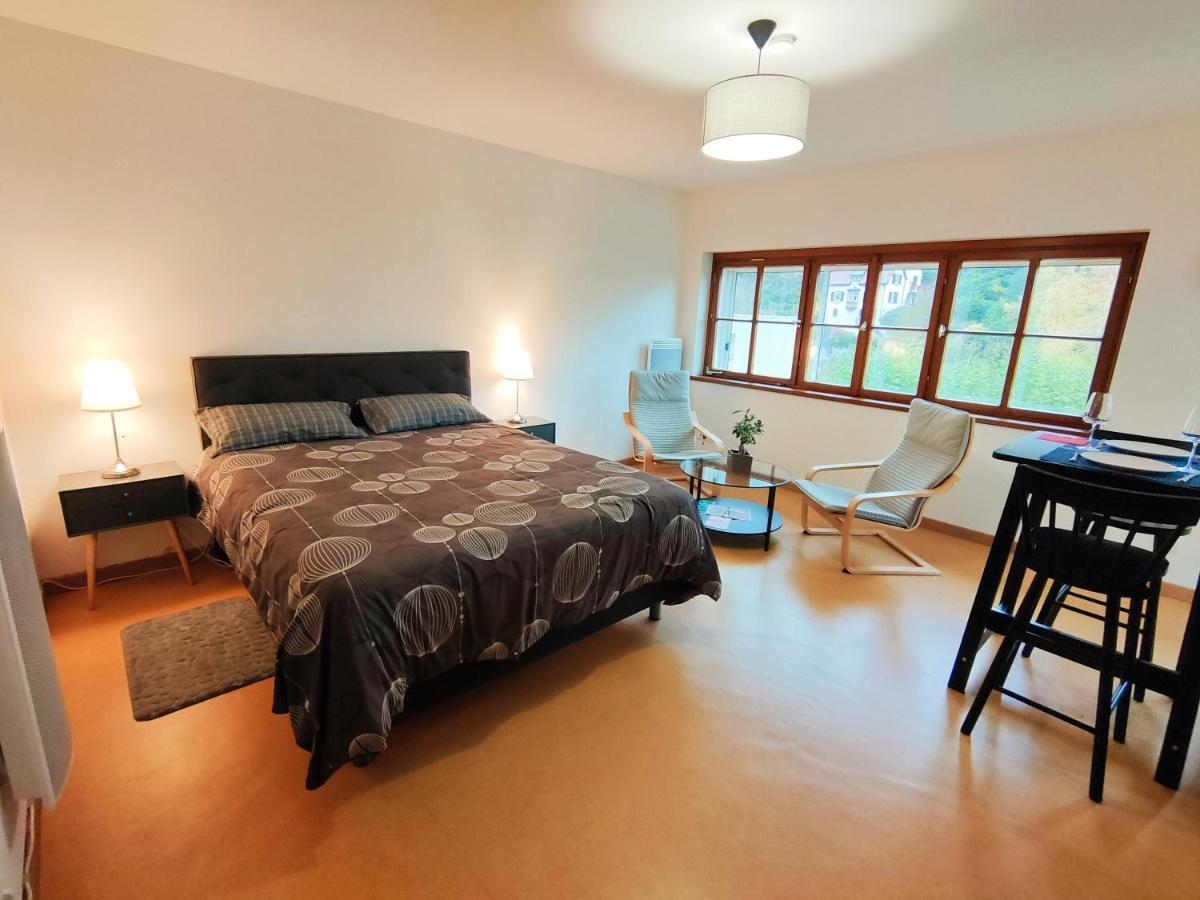 Lumineux Appartement Free Parking Nature Ville Tt Equipe Танн Екстер'єр фото